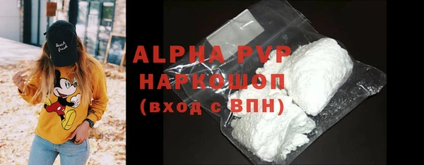 гашик Алексин