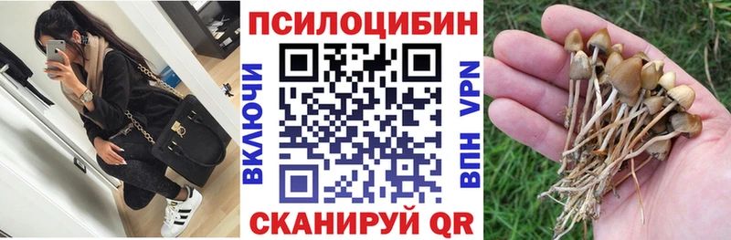 Псилоцибиновые грибы Psilocybe Остров